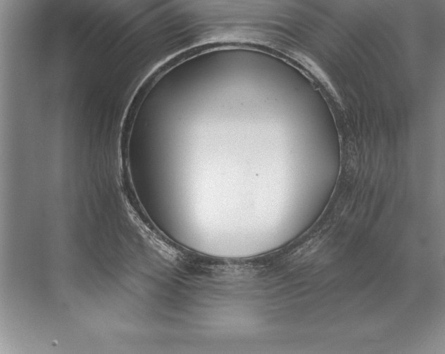 X0000071350980200607071719