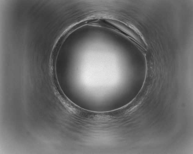 X0000071350981200607071719