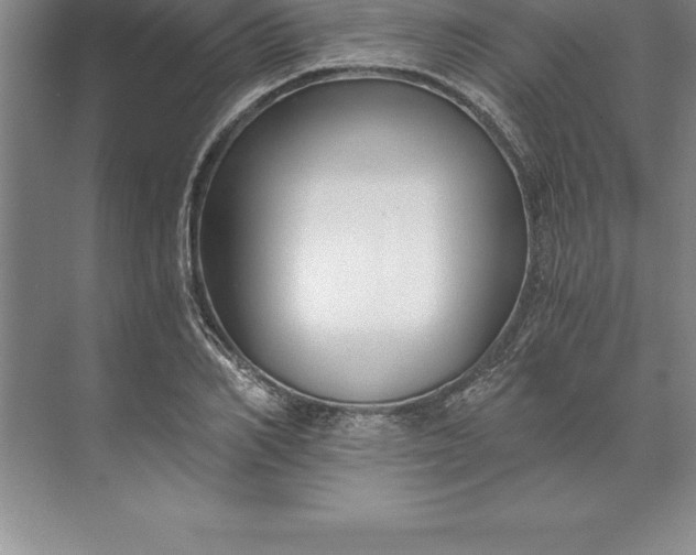 X0000071350982200607071719