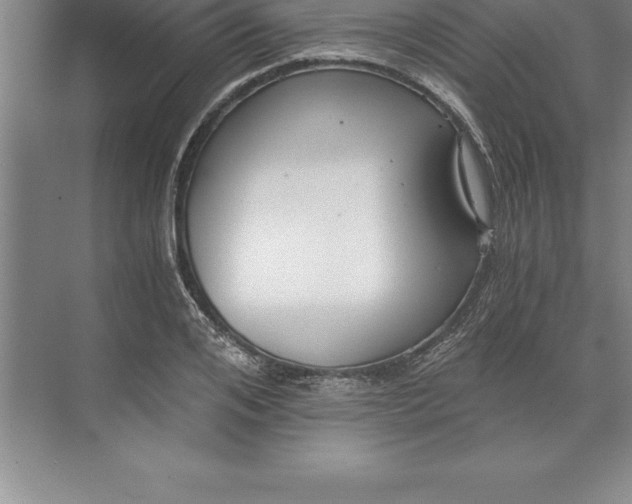 X0000071350984200607071719