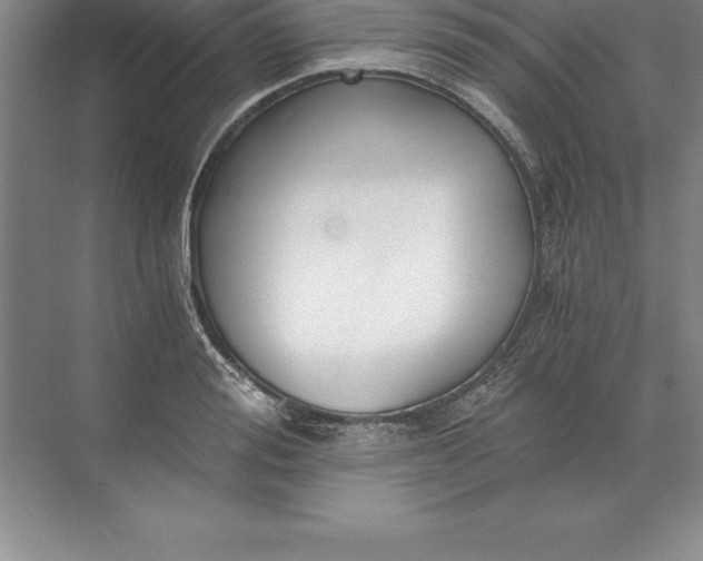 X0000071350988200607071719