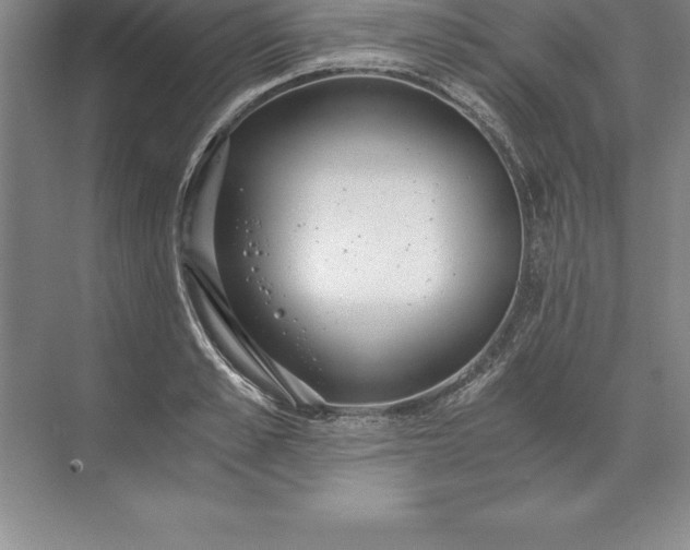 X0000071350989200607071719