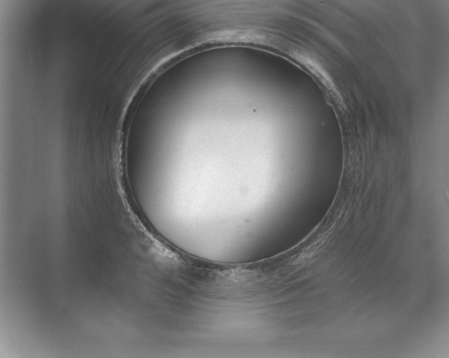 X0000071350992200607071719