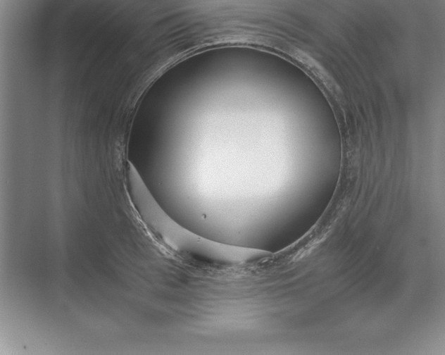 X0000071350993200607071719