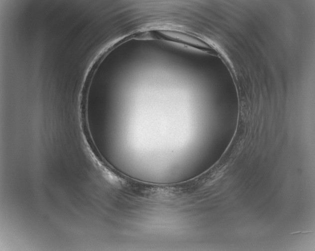 X0000071350995200607071719