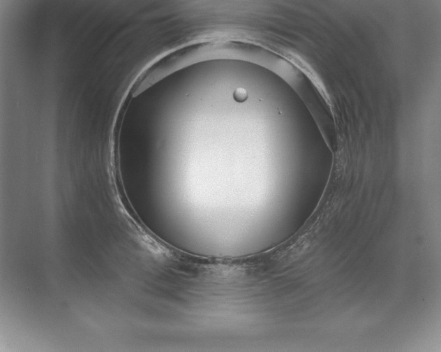 X0000071350996200607071719