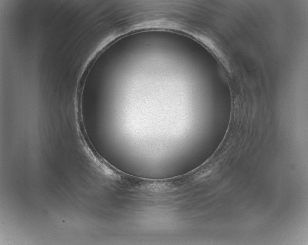 X0000071350998200607071719