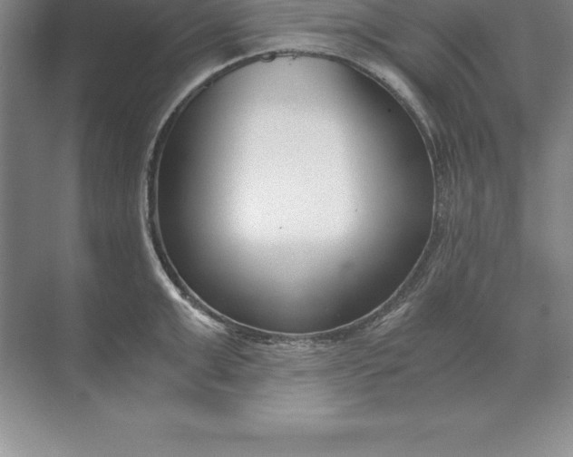 X0000071350999200607071719