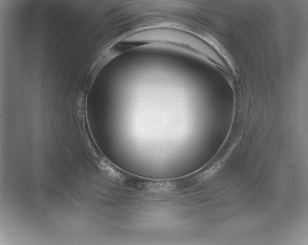 X0000071351001200607071719