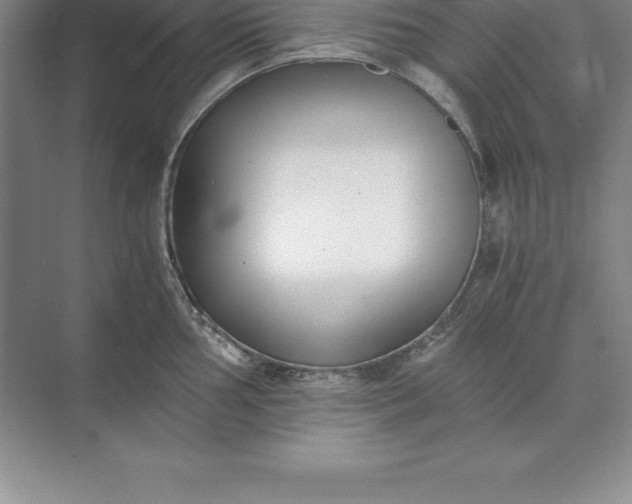 X0000071351002200607071719