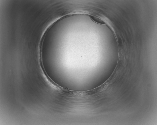 X0000071351003200607071719