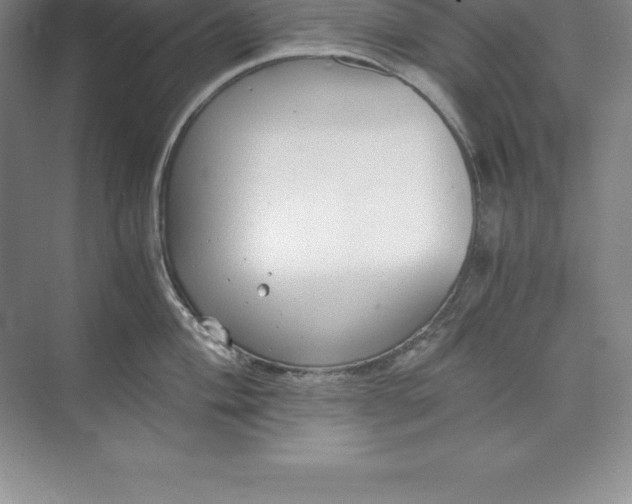 X0000071351004200607071719