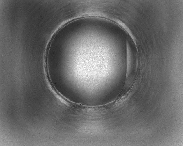 X0000071351005200607071719