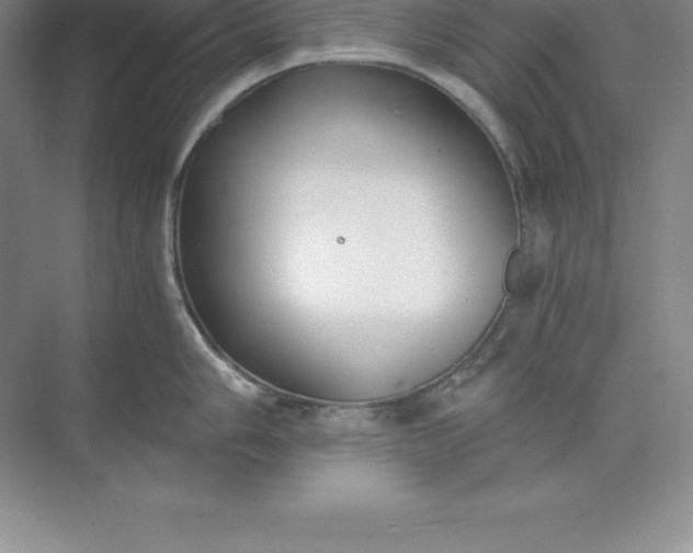 X0000071351006200607071719