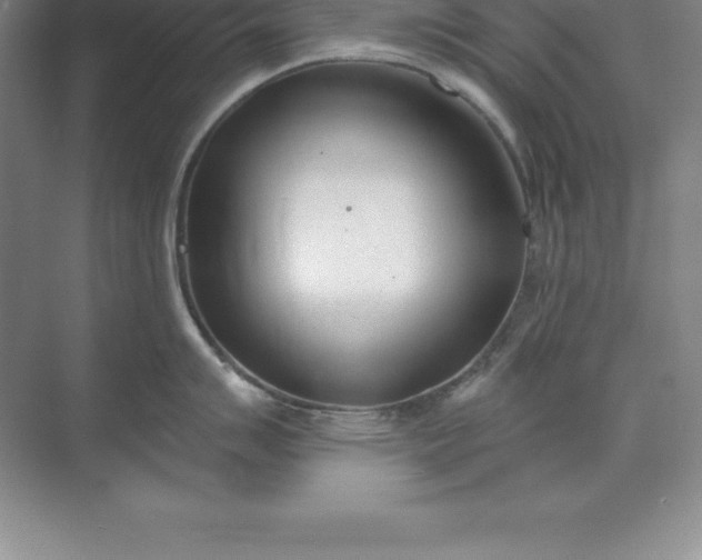 X0000071351007200607071719