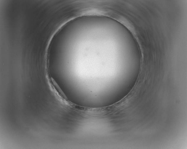 X0000071351008200607071719