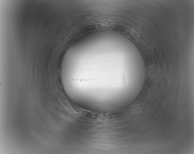 X0000071351009200607071718