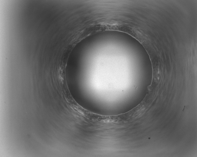 X0000071351010200607071718