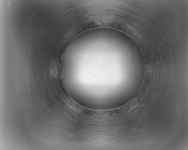 X0000071351012200607071718