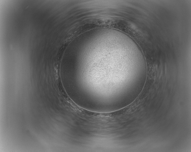 X0000071351013200607071718