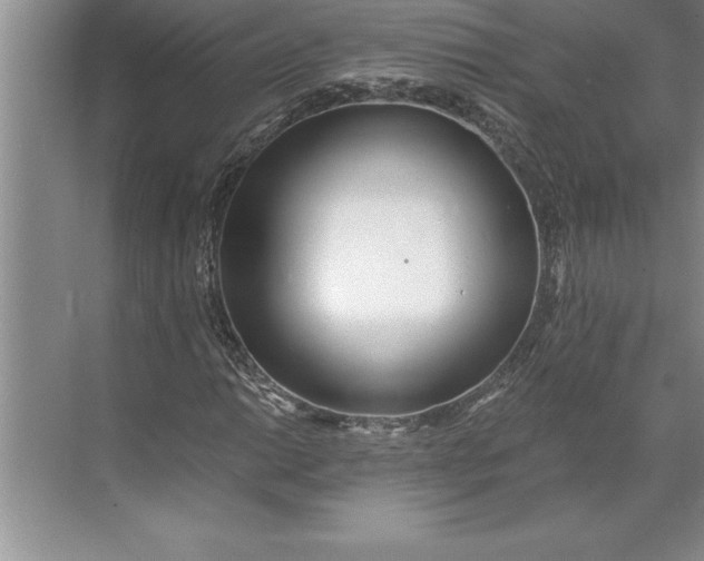 X0000071351014200607071718