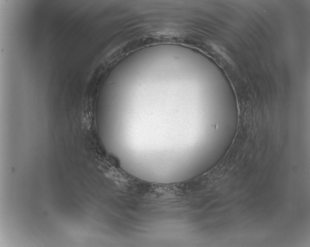 X0000071351015200607071718