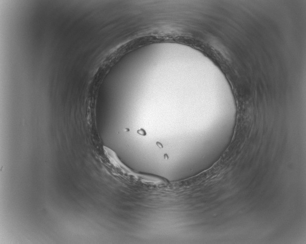 X0000071351016200607071718