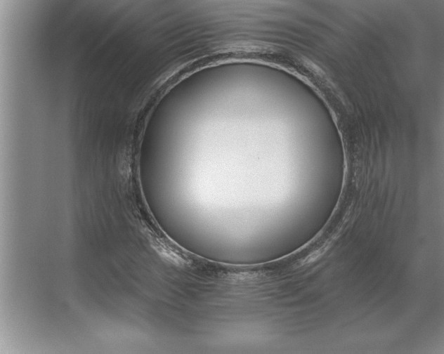 X0000071351017200607071718