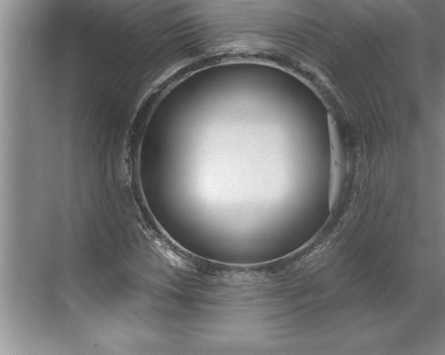 X0000071351018200607071718