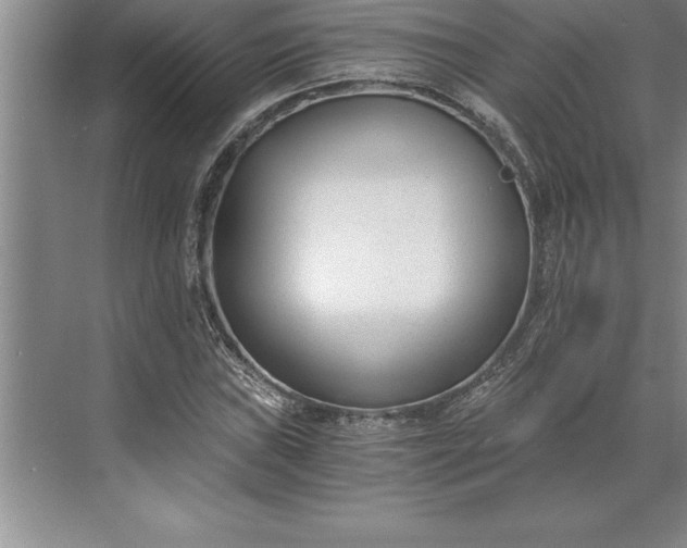 X0000071351019200607071718