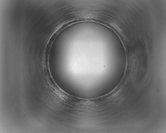 X0000071351023200607071718