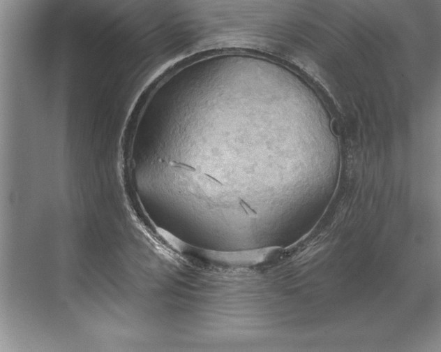 X0000071351024200607071718