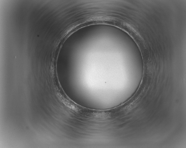 X0000071351025200607071718