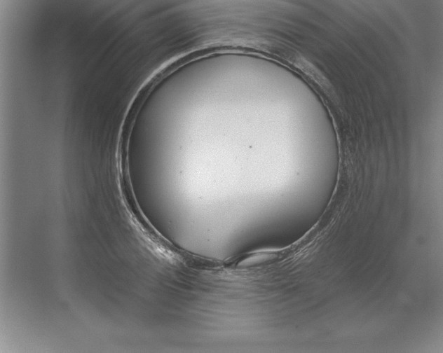 X0000071351028200607071718