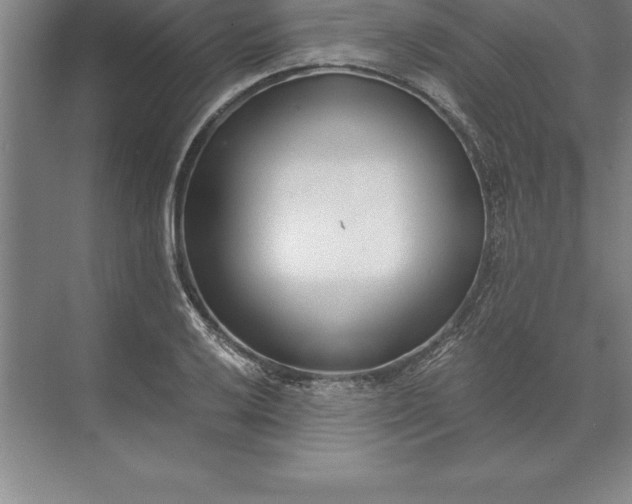 X0000071351032200607071719