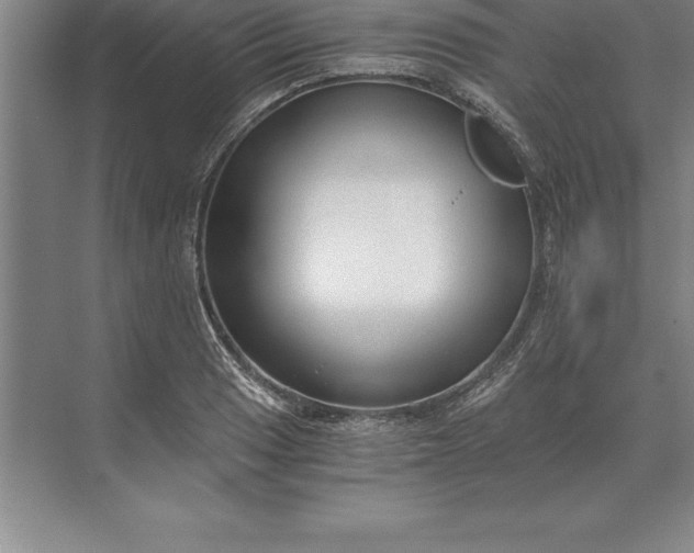 X0000071351033200607071719