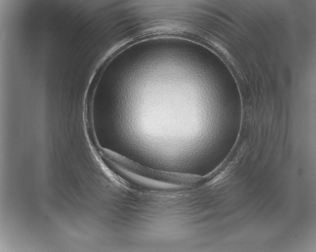 X0000071351034200607071719