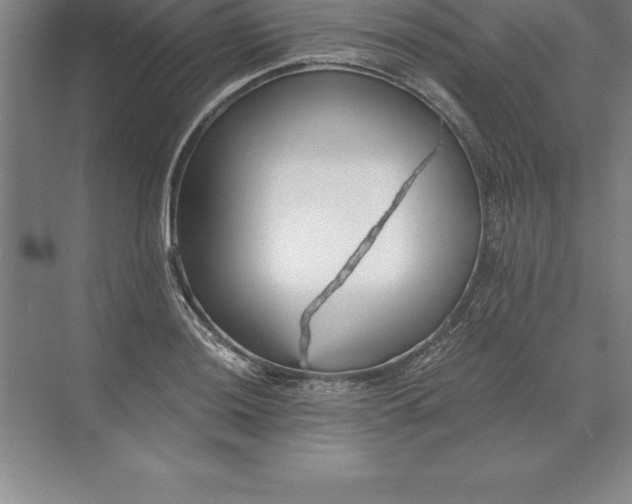 X0000071351036200607071719