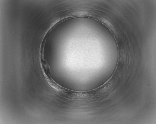 X0000071351039200607071719