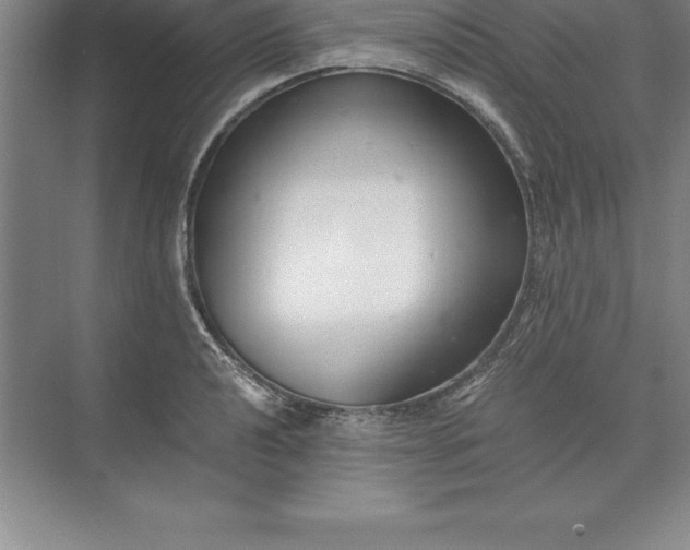 X0000071351040200607071719