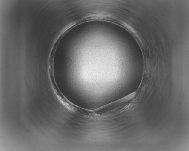 X0000071351042200607071719