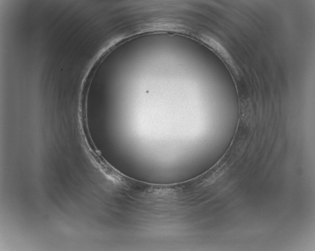 X0000071351043200607071719