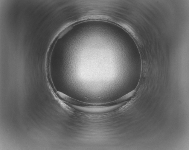 X0000071351046200607071719