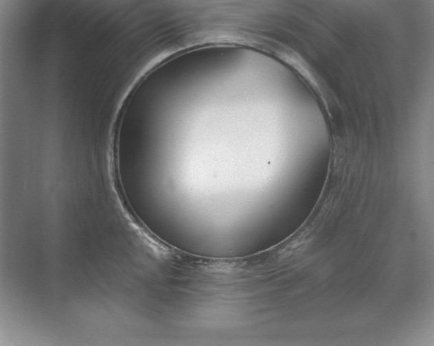 X0000071351048200607071719