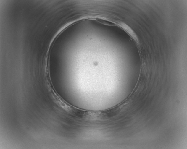 X0000071351052200607071719