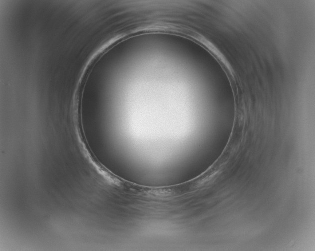 X0000071351053200607071719