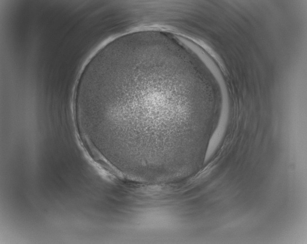 X0000071351054200607071719