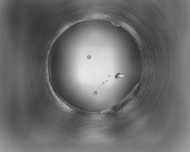 X0000071351055200607071719