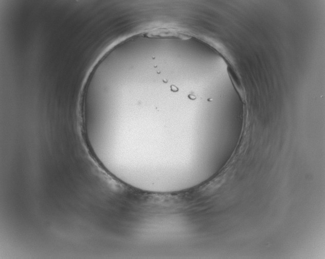 X0000071351056200607071719