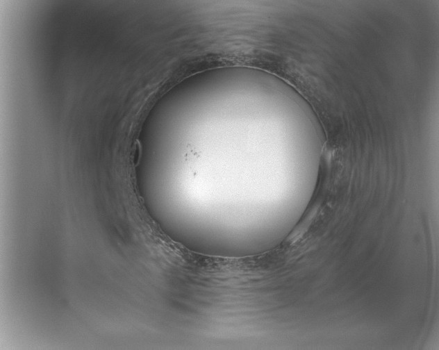 X0000071351057200607071718